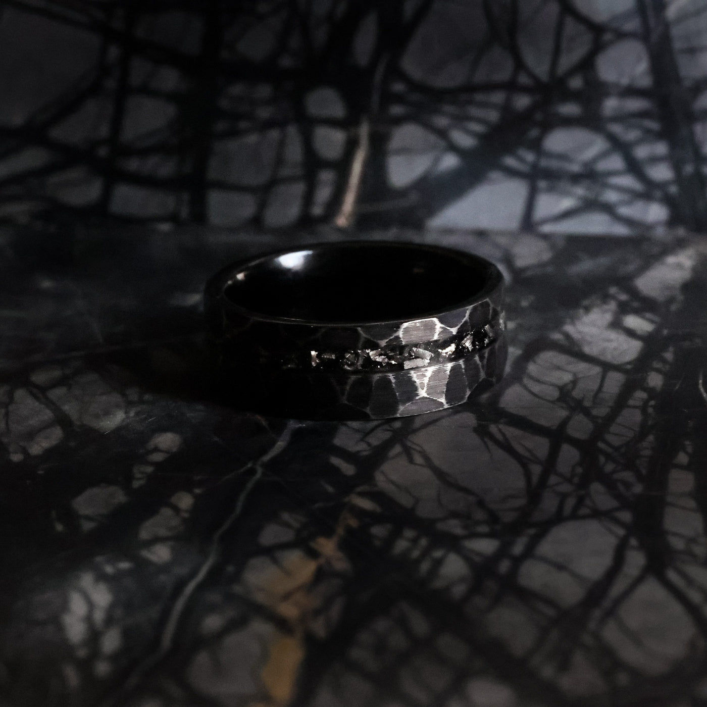 The Voyager | Meteorite Ring | Thorum